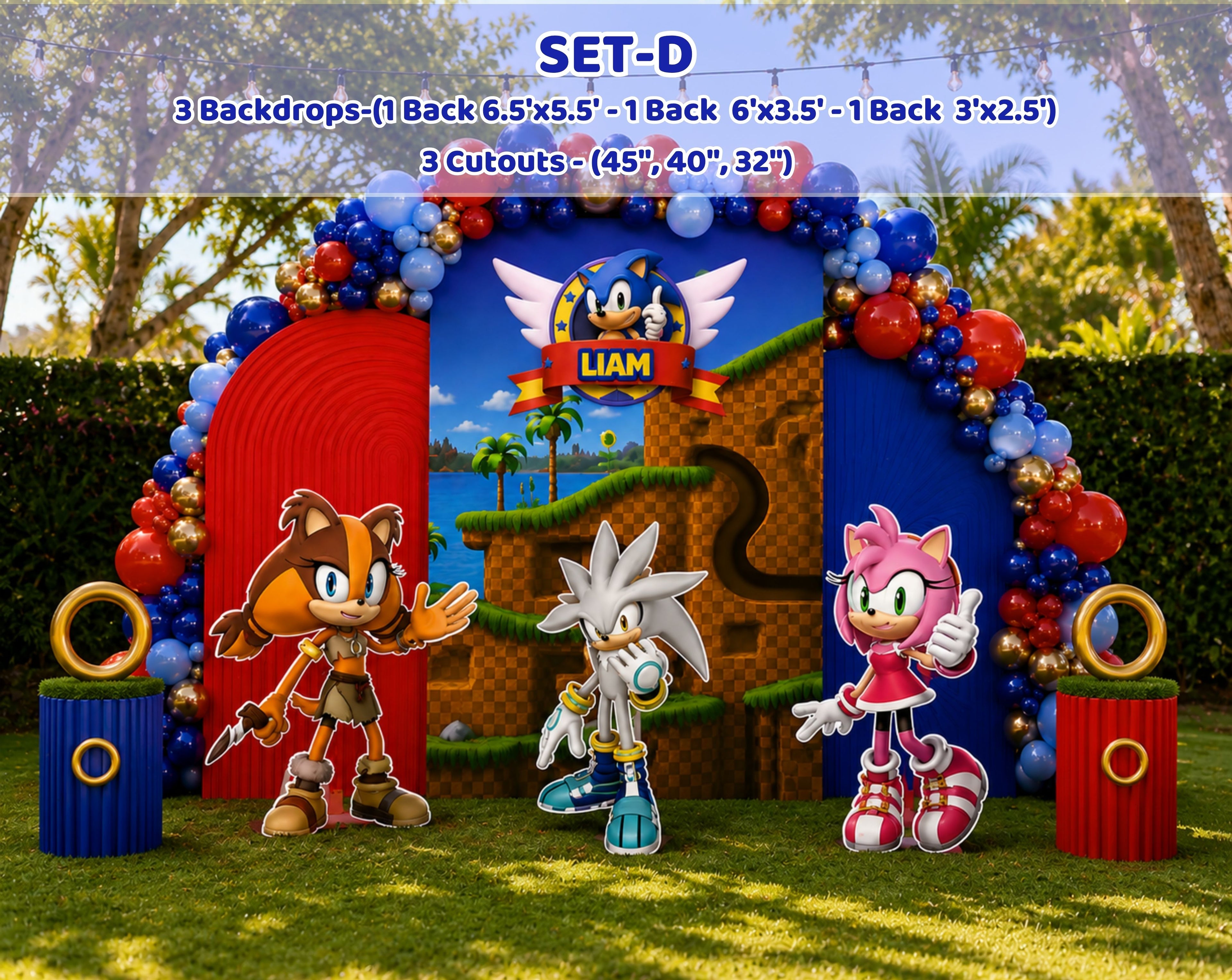 Custom Fast Blue Hedgehog Birthday Backdrop & Cutouts | Personalized Video Game Party Decorations